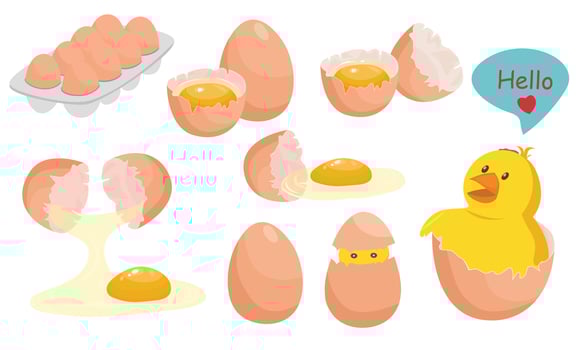 Egg set. Flat in cartoon style isolated on white background. vector