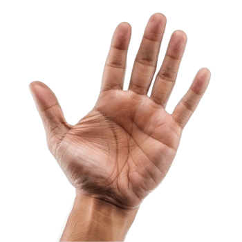 a hand with a palm up png