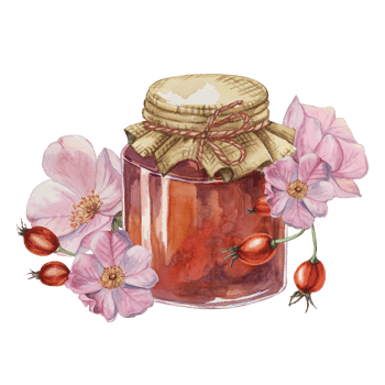 Rose hip jam in glass jar with canvas burlap fabric lid, bow and rose flowers. Rosehip berry breakfast jelly watercolor illustration for printing, food packaging, labels, cards, stickers, scrapbooking png