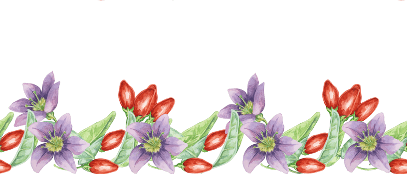 Goji berries flowers seamless border, ribbon clipart. Licium barbarum red berries fruits, leaves. Botanical floral illustration for packaging, washi tape, labels, gift, beauty, banner, cosmetics, food png