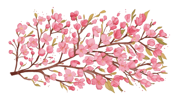 A Set of Watercolor Cherry Blossom Branches Flat - Transparent Background png