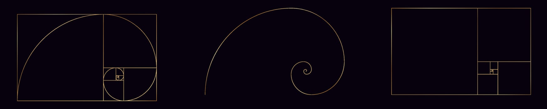 golden ratio isolated spiral. Golden section with in gold vector