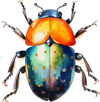 Beetle clipart design illustration png