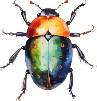 Beetle clipart design illustration png