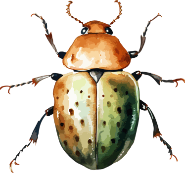 Beetle clipart design illustration png
