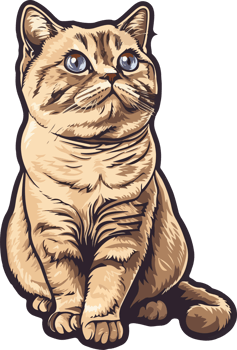 British cat clipart design illustration png