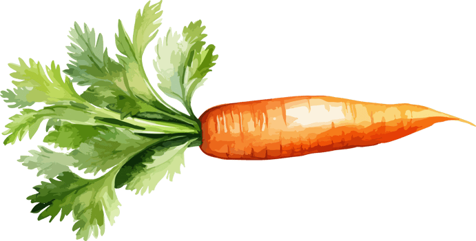 Carrot clipart design illustration png