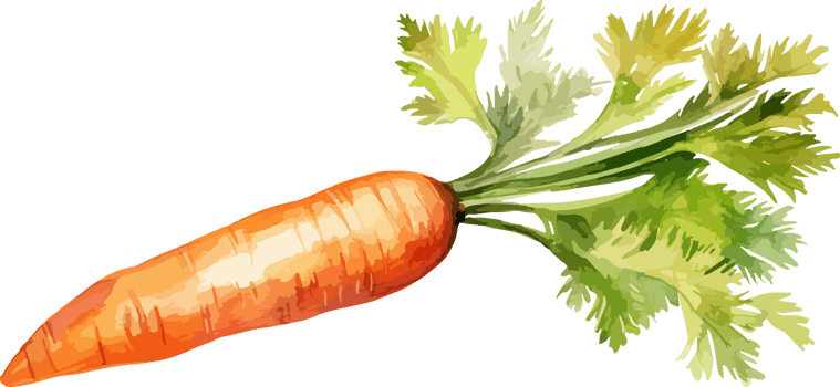 Carrot clipart design illustration png