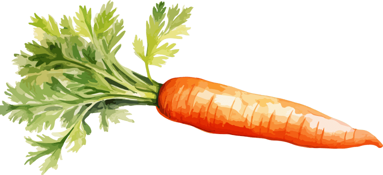 Carrot clipart design illustration png