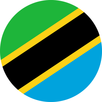 Tanzania flag button png