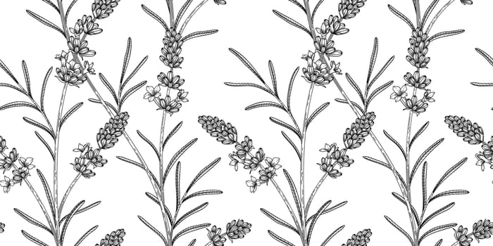 lavender floral pattern black and white illustration vector