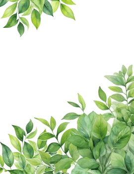 watercolor leaves frame isolated, branches border background png