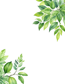 Leaves branch Clipart, rectangle frame background png