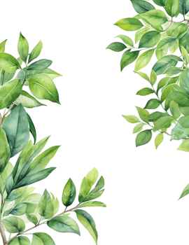 watercolor green leaves branch botanical frame border png