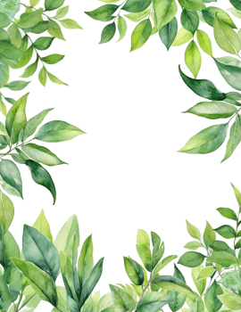 Watercolor green leaves frame, branch border background png