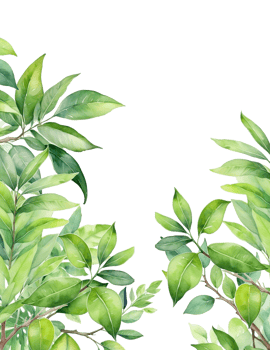 watercolor green leaves branch botanical frame border png