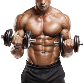 A man is lifting weights with two dumbbells in his hands png