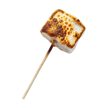 Toasted marshmallow on a stick isolated on transparent background png