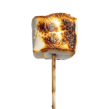 Toasted marshmallow on a stick isolated on transparent background png