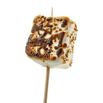 Toasted marshmallow on a stick isolated on transparent background png