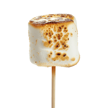 Toasted marshmallow on a stick isolated on transparent background png