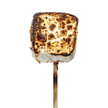 Toasted marshmallow on a stick isolated on transparent background png