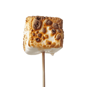 Toasted marshmallow on a stick isolated on transparent background png