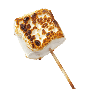 Toasted marshmallow on a stick isolated on transparent background png