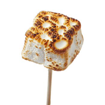Toasted marshmallow on a stick isolated on transparent background png