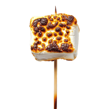 Toasted marshmallow on a stick isolated on transparent background png