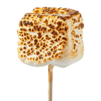 Toasted marshmallow on a stick isolated on transparent background png