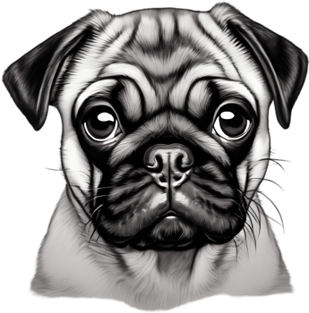 Close up captures Pugs distinctive wrinkled, expressive face. AI-Generated. png