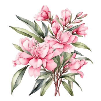 Watercolor Floral Flower Design, Watercolor Flower Arrangements Floral, Watercolor Flower Design, Watercolor Flower Bouquet png