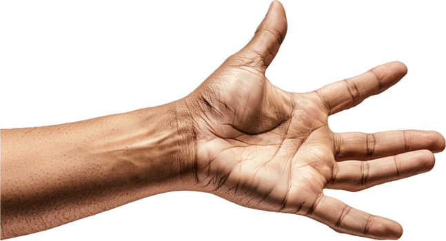 Outstretched Hand Palm Facing Up. png