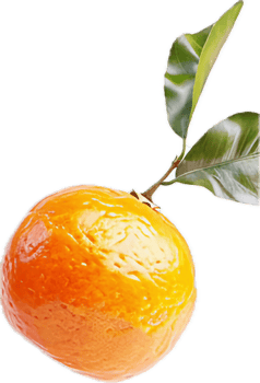 Fresh Orange with Green Leaves Close-Up. png
