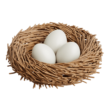 Bird Nest 3d Illustration png