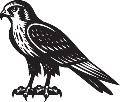 harrier bird silhouette illustration vector
