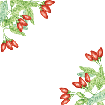 Red goji berries and green leaves corner frame design. Hand-drawn watercolor illustration for DIY printing, greeting card making, quote, gift tag, label, invitation, postcard, square flyer template png
