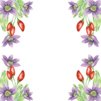 Red goji berries, lilac flowers and green leaves square frame design. Hand-drawn watercolor illustration for DIY printing, greeting card making, quote, gift tag, label, postcard, flyer template png