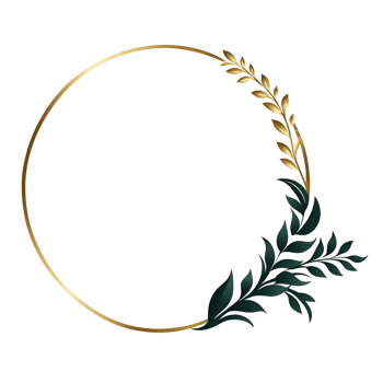 luxury gold leaf simple circle border transparent background png