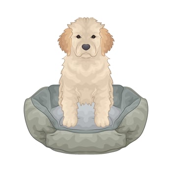 Illustration of dog vector