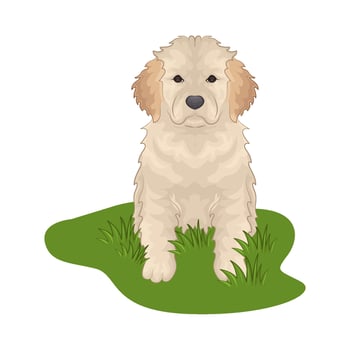 Illustration of dog vector