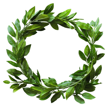 Green Laurel Wreath Isolated on Transparent Background png