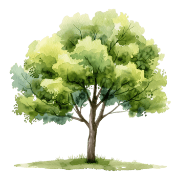 Transparent Cutout of Tree Watercolor Painting png