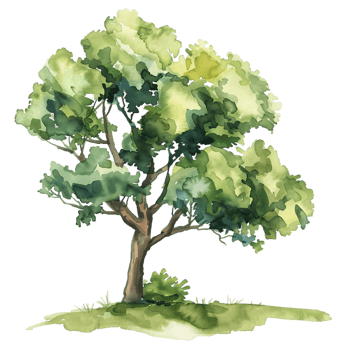 Isolated Tree Watercolor with Alpha Channel png
