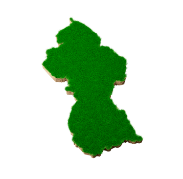 Guyana Map soil land geology cross section with green grass and Rock ground texture 3d illustration png