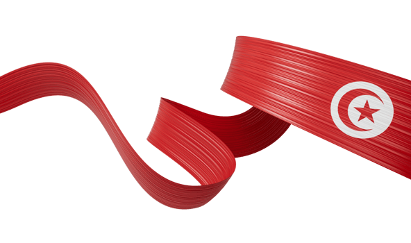Tunisia flag ribbon 3d illustration png