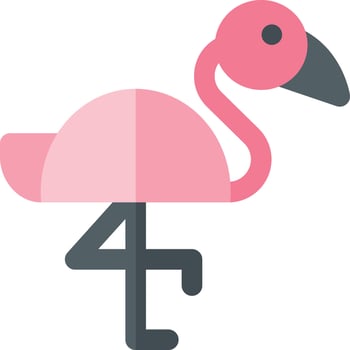 flamingo illustration design vector