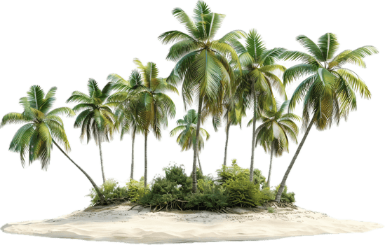 Tropical Island with Palm Trees. png