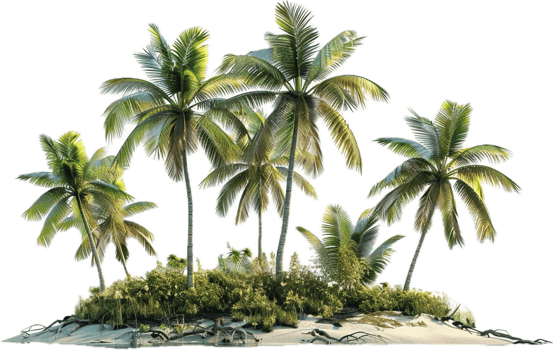 Tropical Island with Palm Trees. png